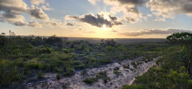 0 Bedroom Property for Sale in Albertinia Western Cape